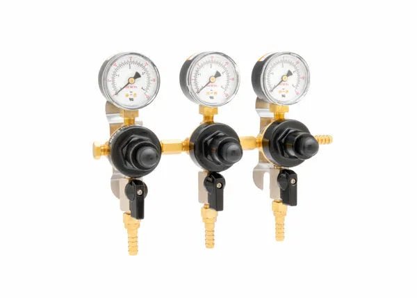 Harris CB2 Beverage Regulator Secondary, Beer, 60 PSI, 5/16 Barb, 5/16 Barb, 3 Pressure - 3005225 - WeldingMart.com