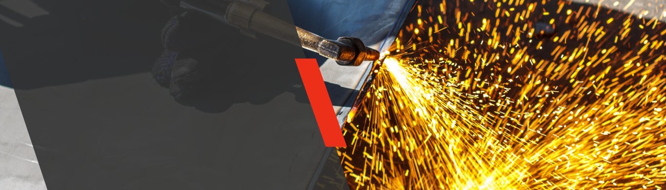 Harris Torch Outfits